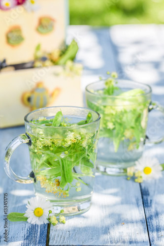 Healthy linden tea with honey in sunny garden