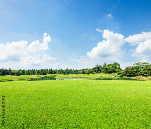 Fototapeta Naklejka Na Ścianę i Meble -  field of green grass and blue sky in summer day