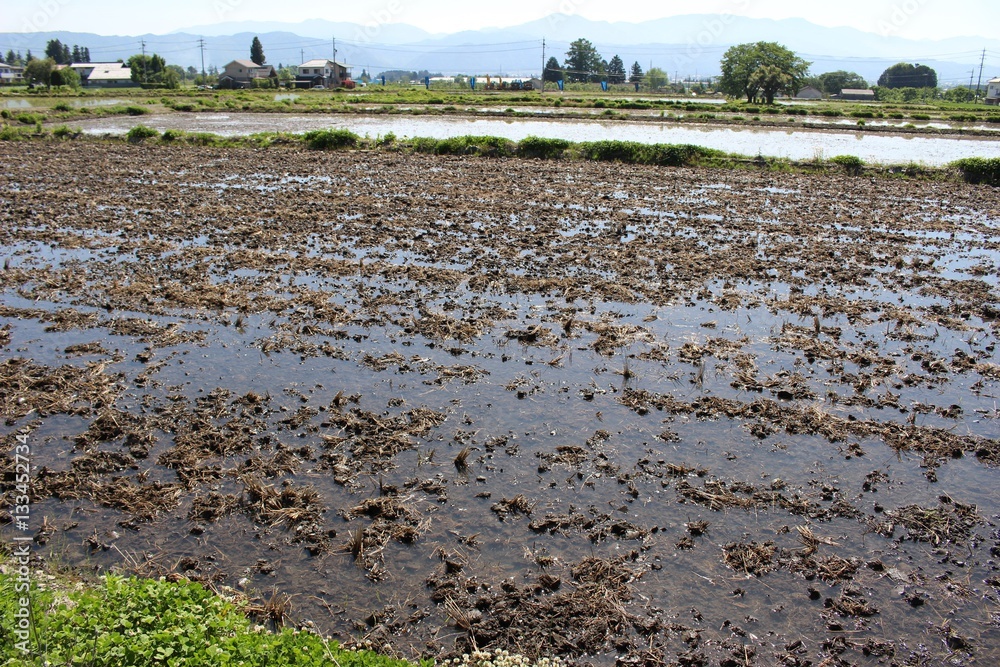 田んぼの水入れ 田んぼの水入れ