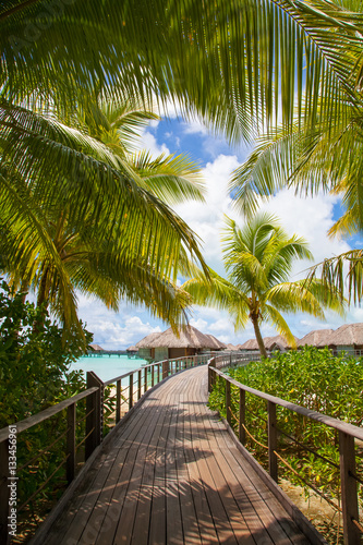 Bora Bora, Walkway to sea and bungalows / villas. Palm trees framing the picture to luxury thatched rooms