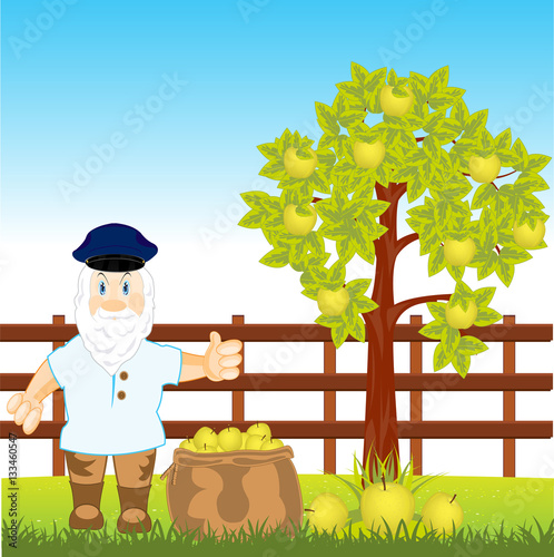 Collection of the harvest apple