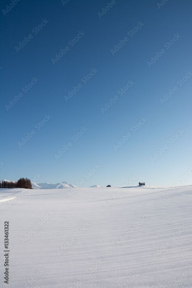 雪原と青空 雪原と青空