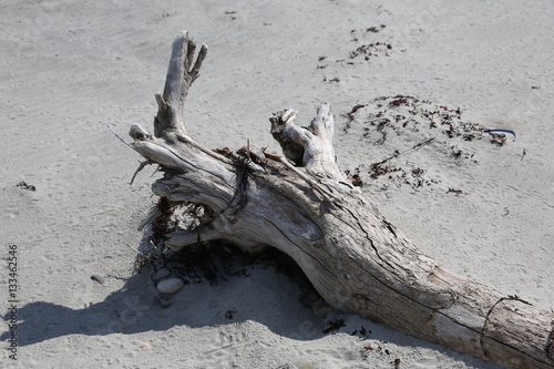 Old piece of wood on a sandy beach © Olgastanis