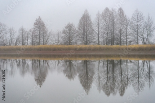Foggy Reflection