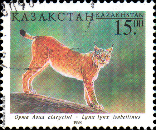 KAZAKHSTAN - CIRCA 1998: Postal stamp printed in Kazakhstan shows Lynx. Fauna of Kazakhstan - 