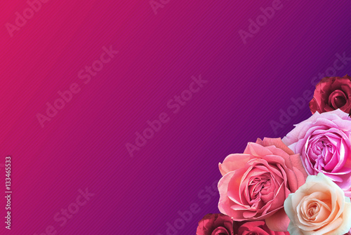 Valentine Background with Group of Colorful Roses.