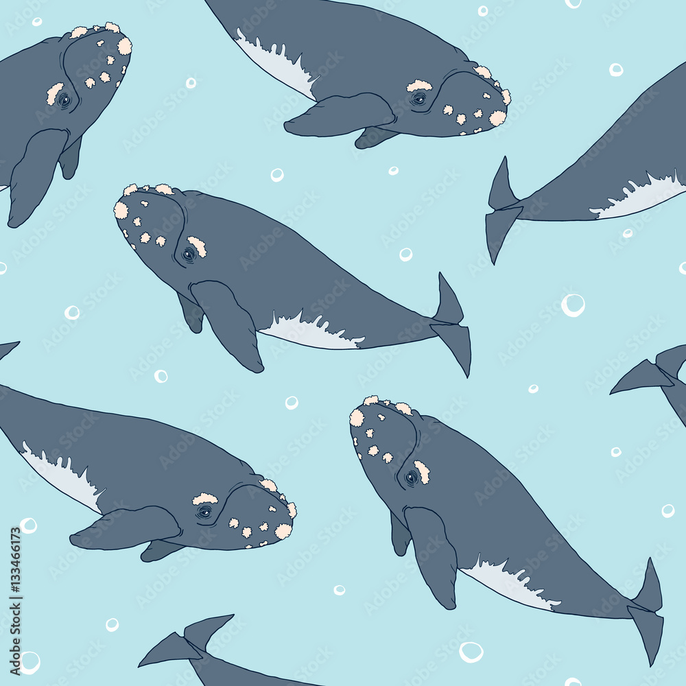 Vecteur Stock Seamless pattern with hand drawn right whales on blue ...