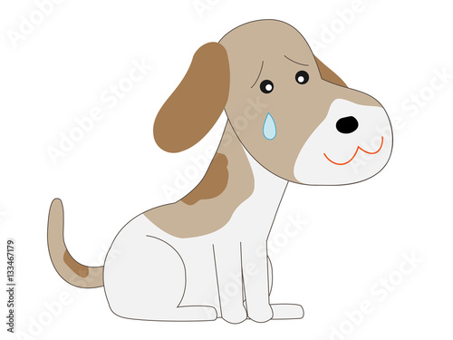 動物病院で治療しているペット