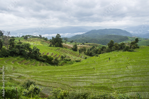 Beautiful rice terraces at Ban Pa Pong Pieng  Mae chaem  Chaing