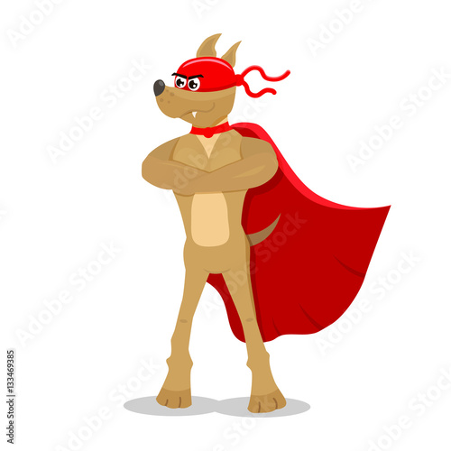 Super dog character