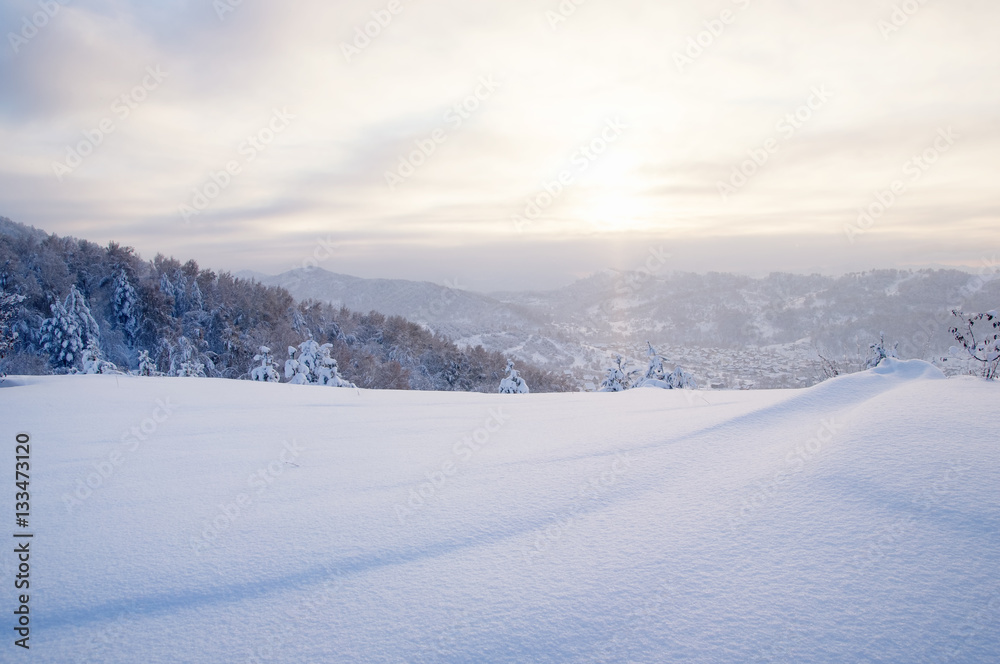 Winter sunset snow field on top of mountain on the background of taiga forest and hills