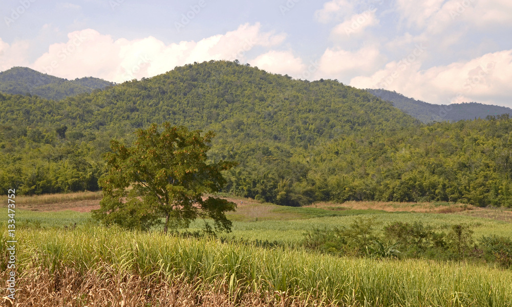 mountain mountain
