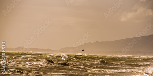 Stormy Seas