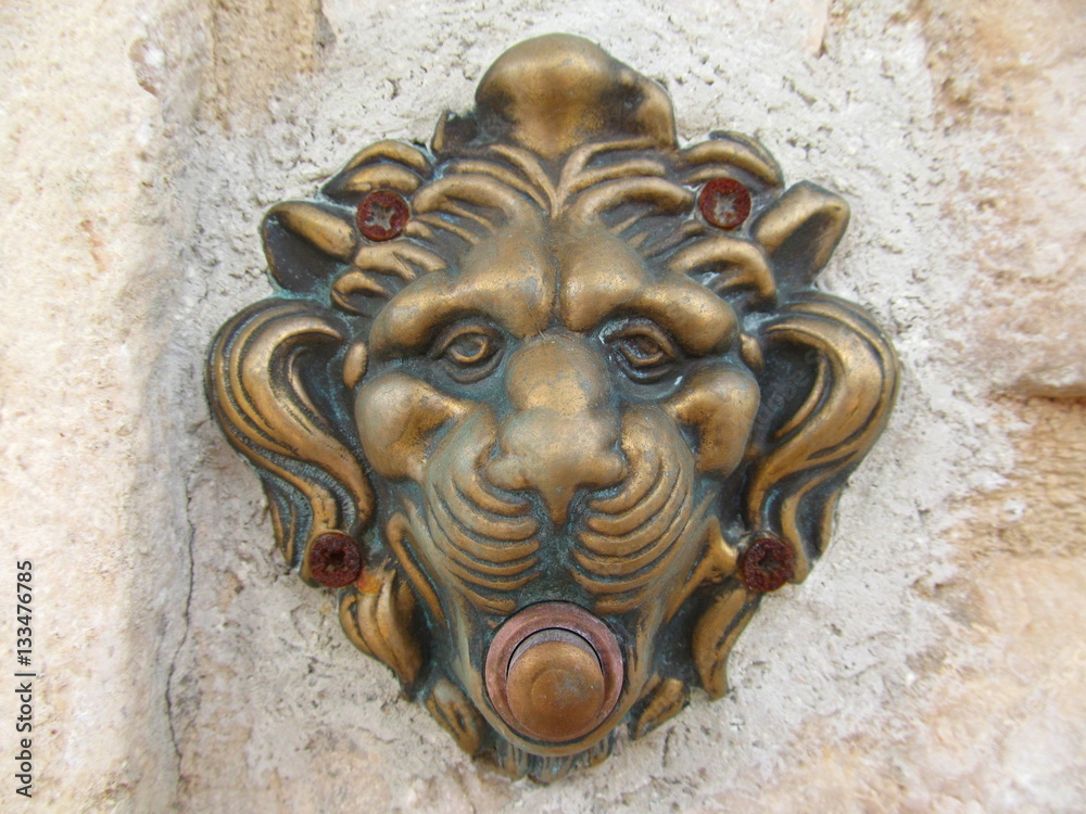 Metal Lion Head Sprinkle on Fountain