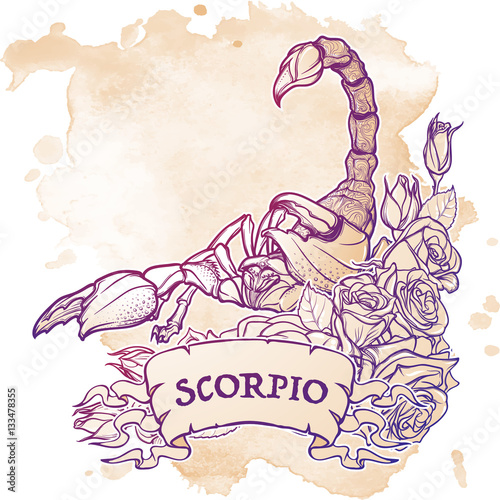 Zodiac sign Scorpio. Detailed realistic scorpio in a decorative frame of roses. Sketch isolated on white background. Concept art for tattoo design, horoscope, coloring book for adults page.