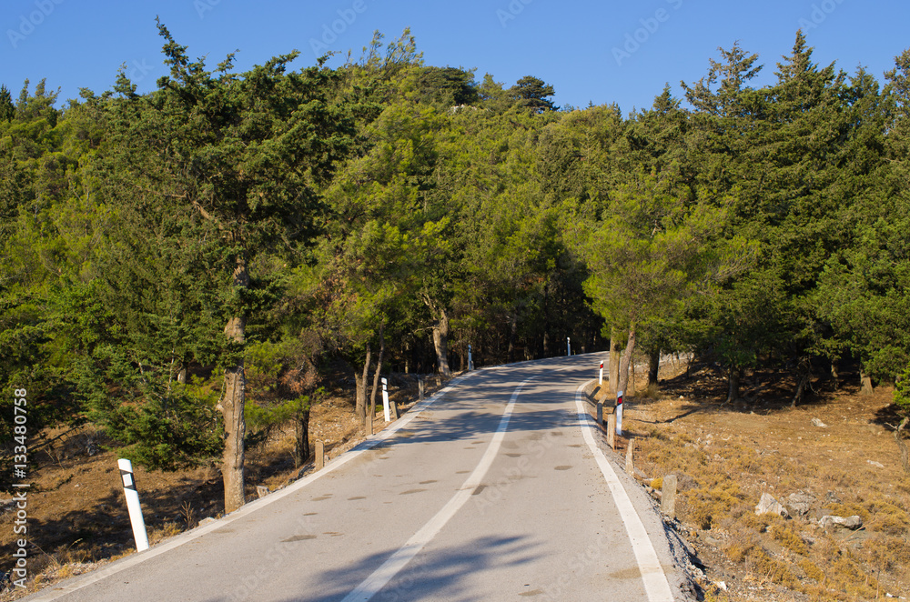 Road in the forest on Rhodes island, Greece
