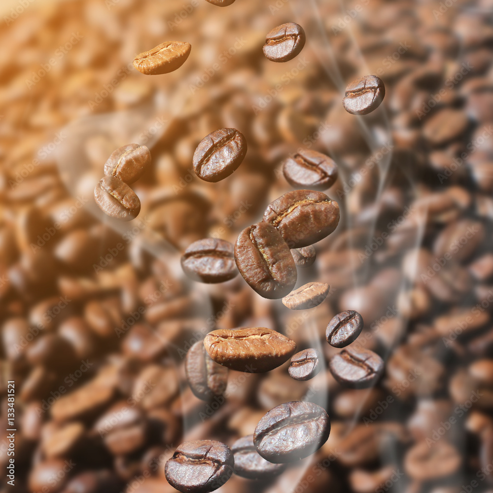 Fototapeta premium Coffee beans with sunlight in morning.
