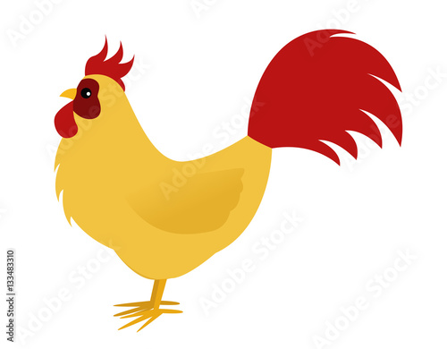A simple rooster