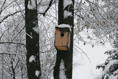 Дом птиц скворечник зимой