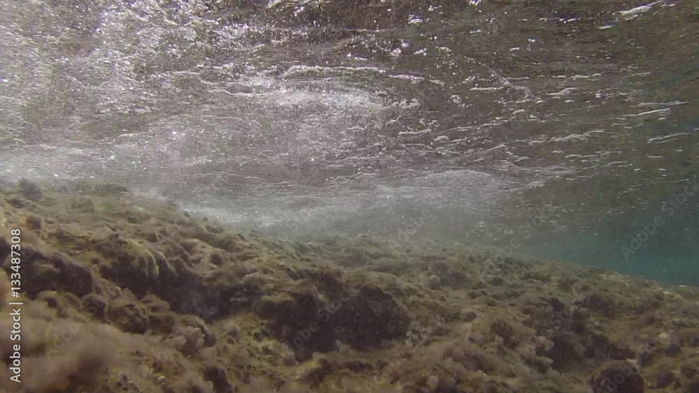 particular vision of the Mediterranean seabed of the island of Ventotene particular vision of the Mediterranean seabed of the island of Ventotene