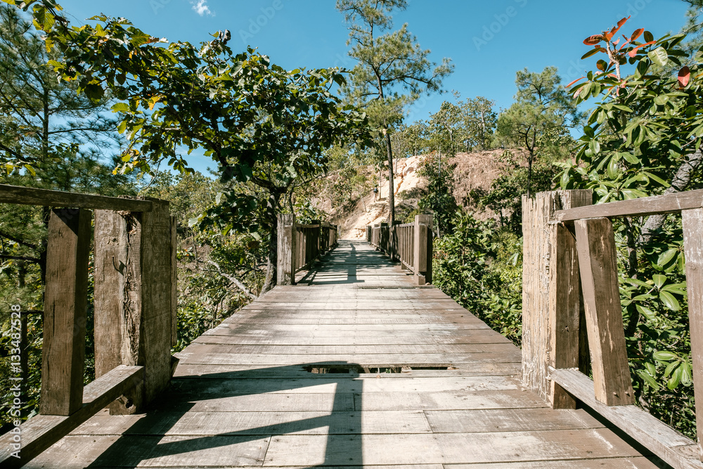 A bridge in the canyon