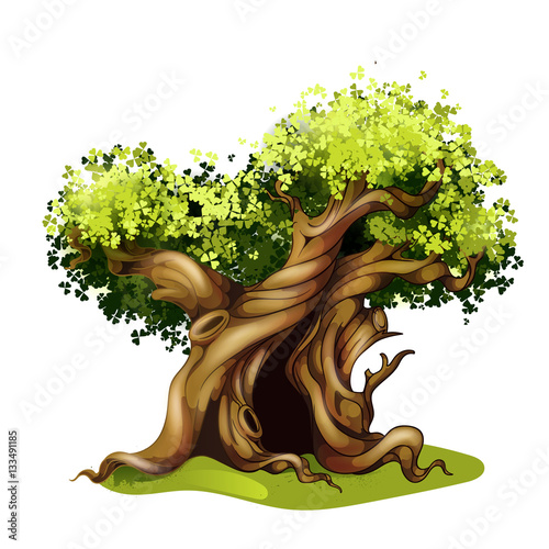 Cartoon style oak illustration. Fairy tale magic tree.