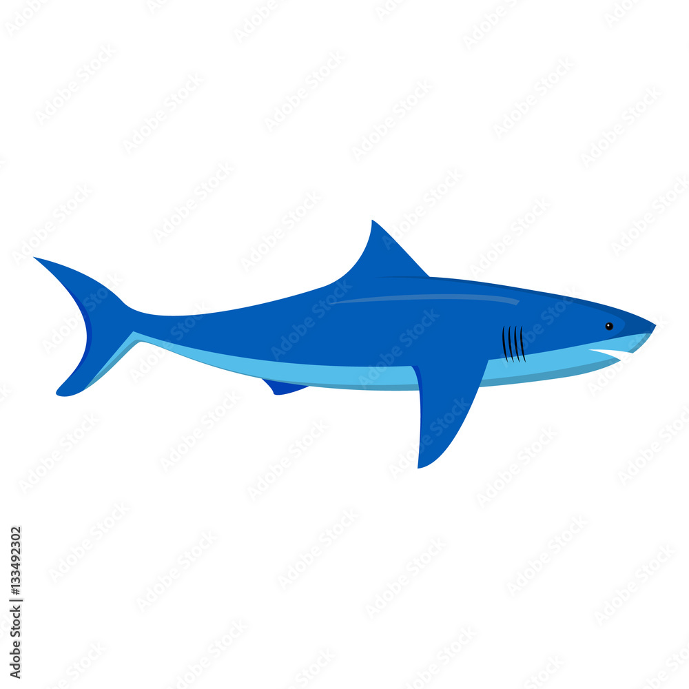Vector flat with an illustration of a shark. An element of design of the websites about fishing. An icon for games. Siluyet of a shark.