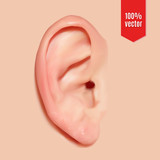 Realistic vector ear.