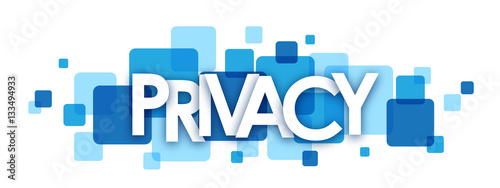 PRIVACY Vector Letters Icon