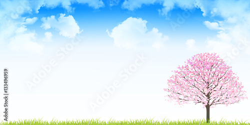 桜　春　花　背景