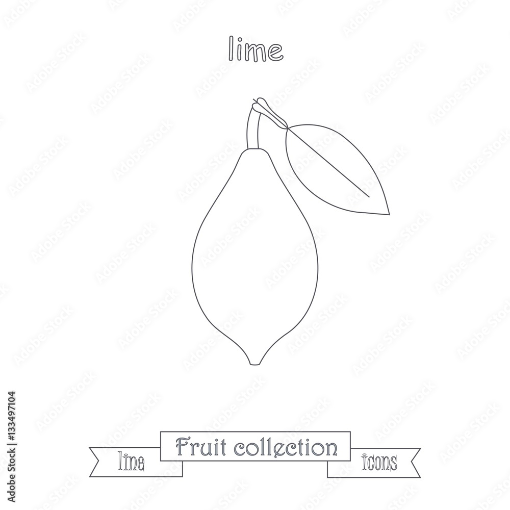 Line lime icon, fruit icon collection stock vector illustration