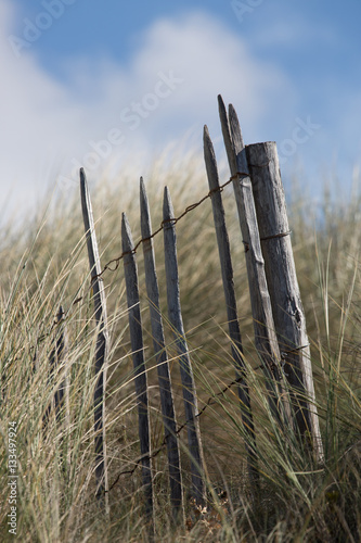 Wooden fence, field, Brittany, France, Europe