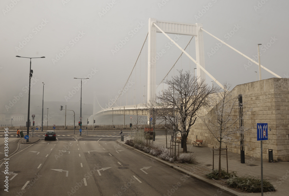 Naklejka premium Будапешт. Мост Эржебет.