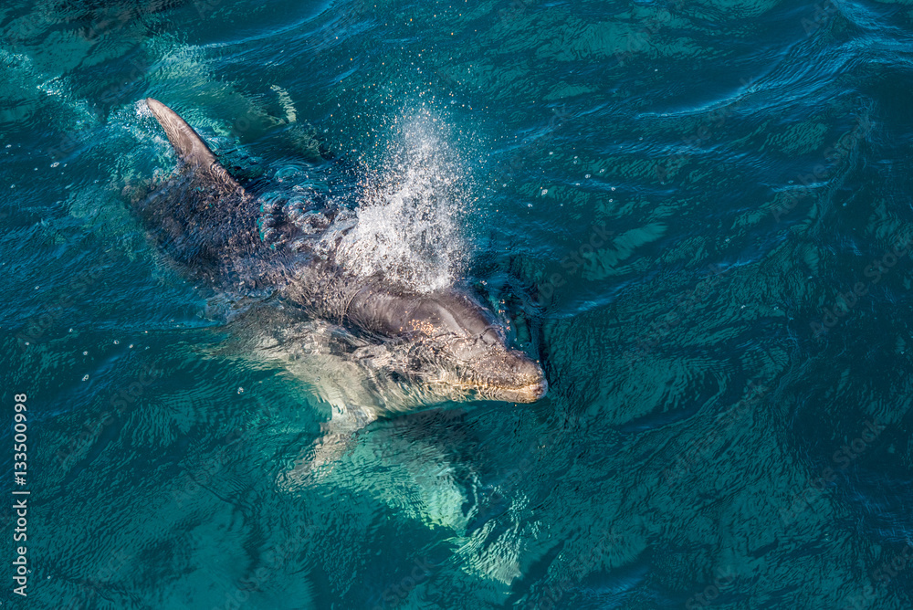 Obraz premium Taking a breath