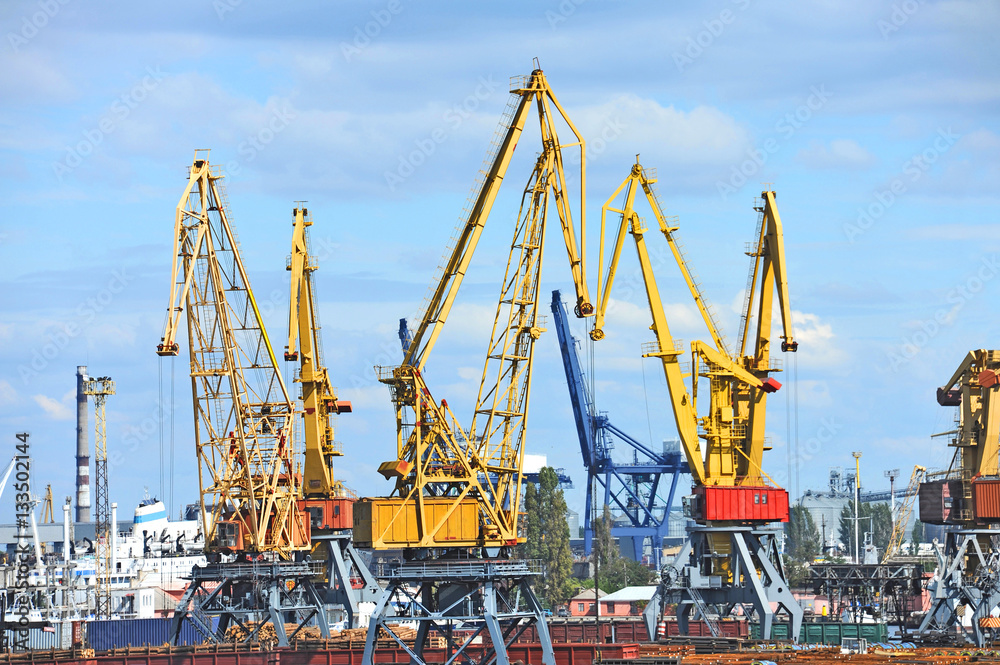 Cargo crane and train