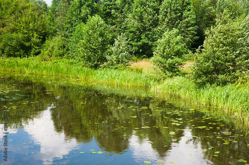 Summer landscape on the river bank Summer landscape on the river bank