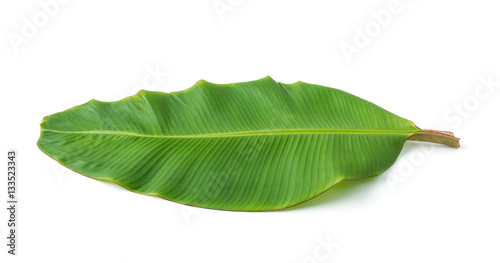 banana leaf isolated on white background photo