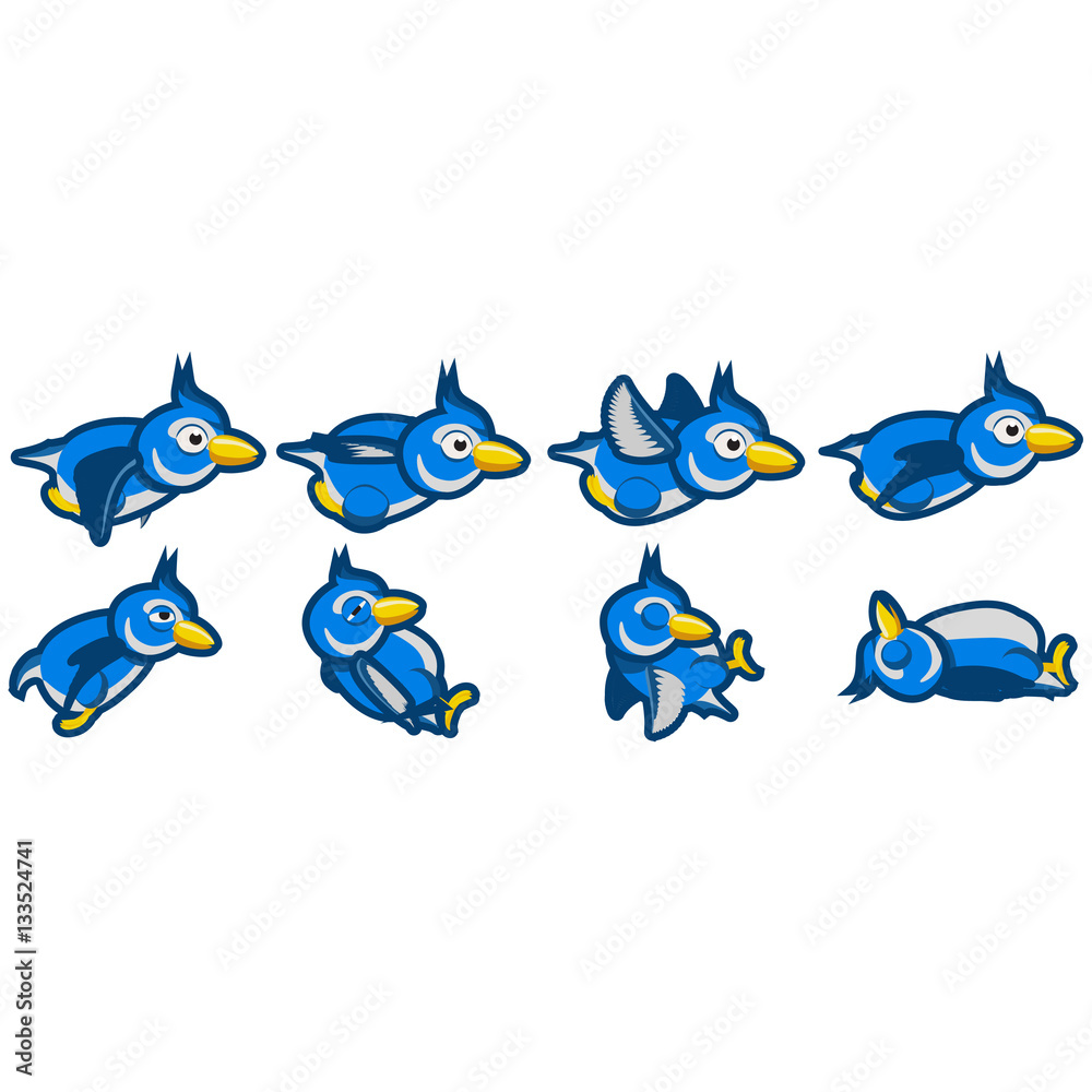 Fototapeta premium Blue jay flying and blue jay crashing animations. 