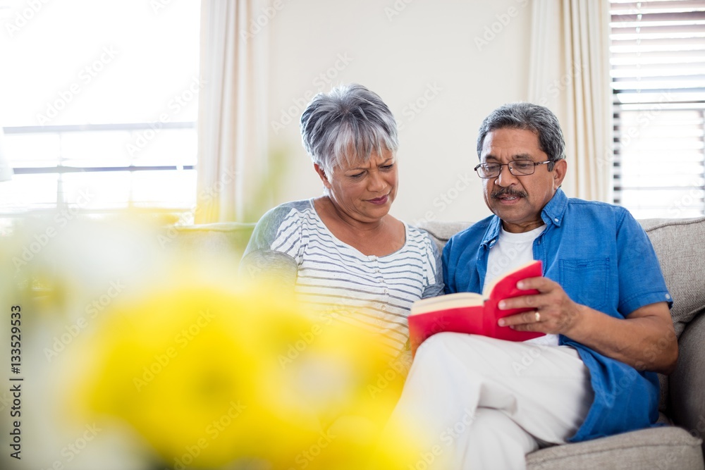Obraz premium Senior couple reading a novel in living room