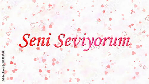 "I Love You" text in Turkish "Seni Seviyorum" on white backgroun