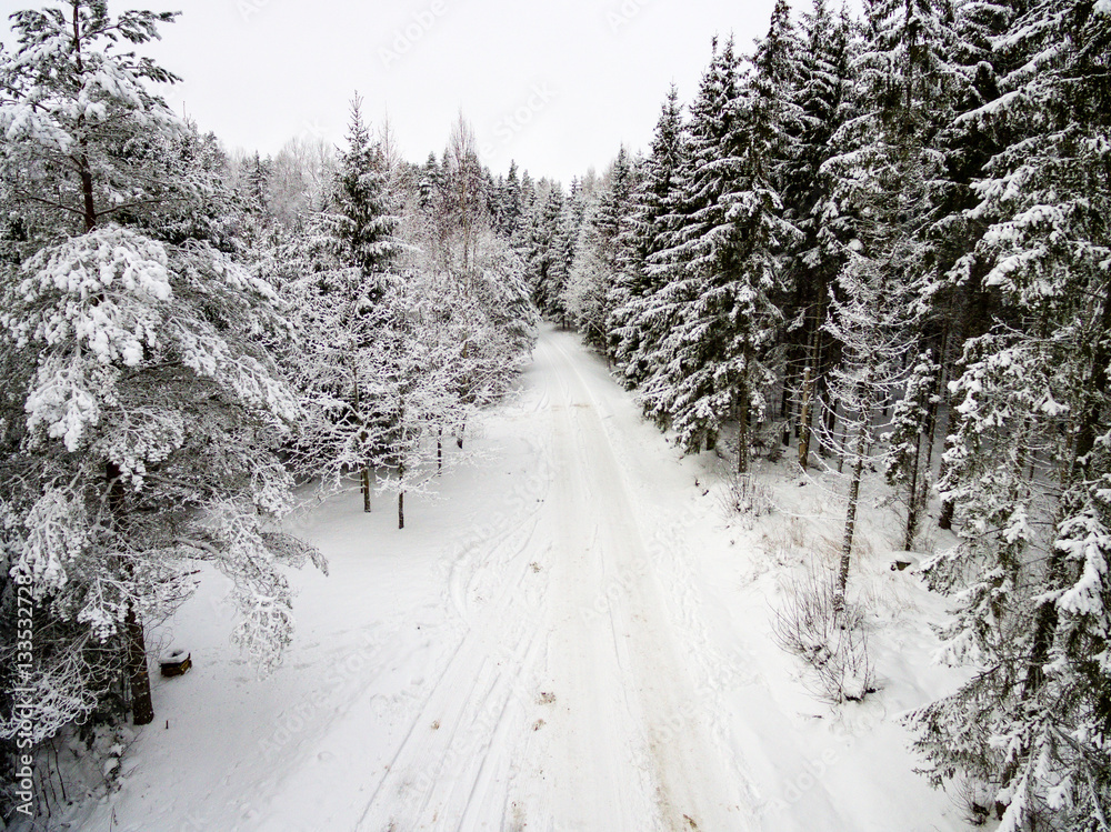 Obraz premium aerial view of winter forest from drone