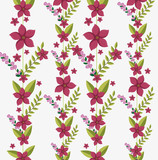 cute flowers frame background vector illustration design
