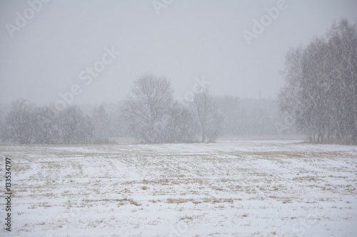 Wallpaper Mural Winter landscape with snow Torontodigital.ca
