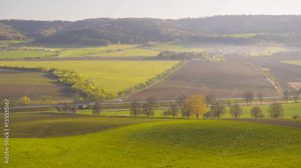 Corn field landscape with mountains in background