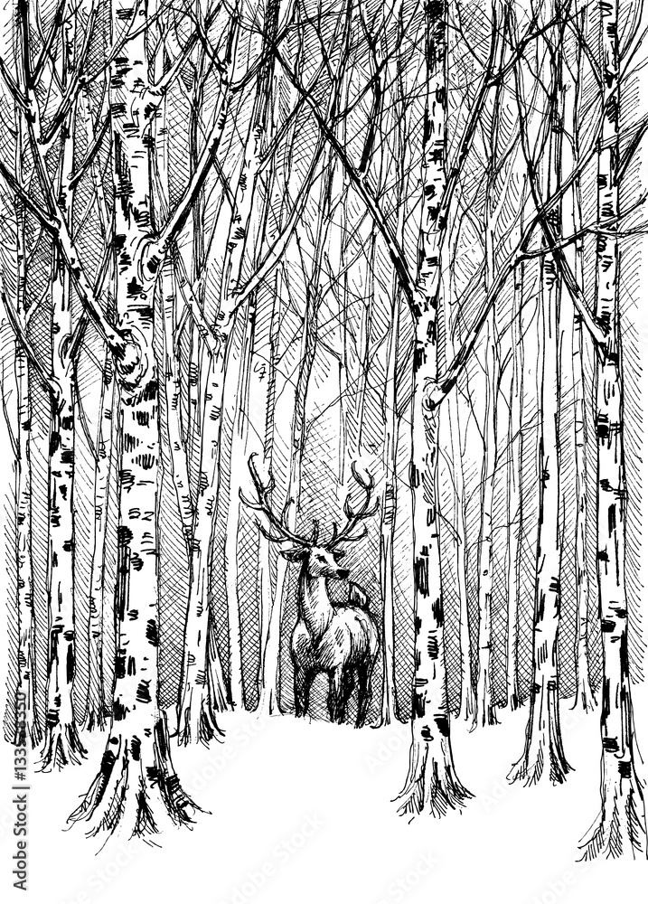 Obraz premium Wildlife carbon drawing. Deer in winter forest