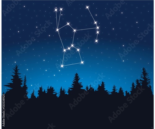 Constellation Orion