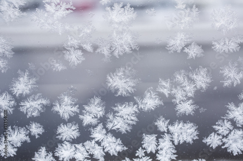 Macro snowflakes frozen a window glass