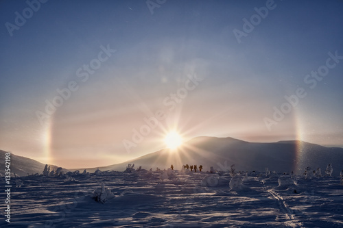 Gallo sunny winter mountains in the Urals