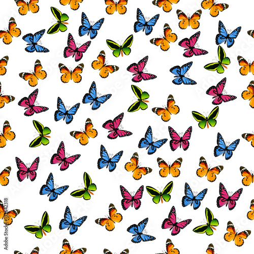 illustration of a colorful butterfly