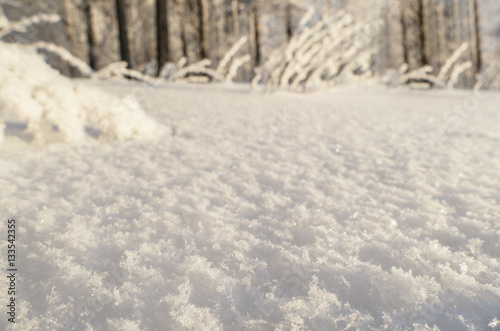 White snow texture in sunny day, macro shoot, blurred winter forest at background